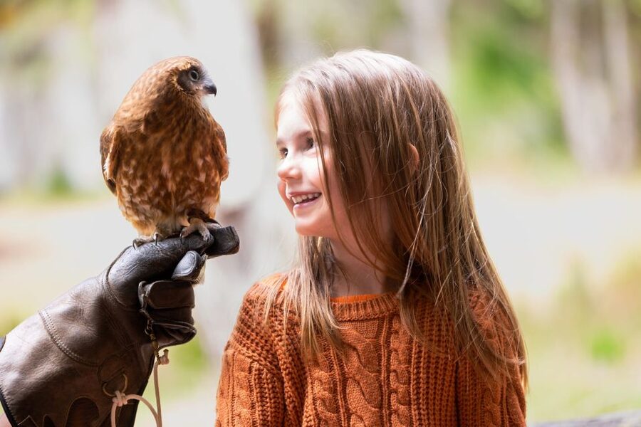 Margaret River: Birds of Prey Encounter and Forest Walk - A conservation visit with a practical message