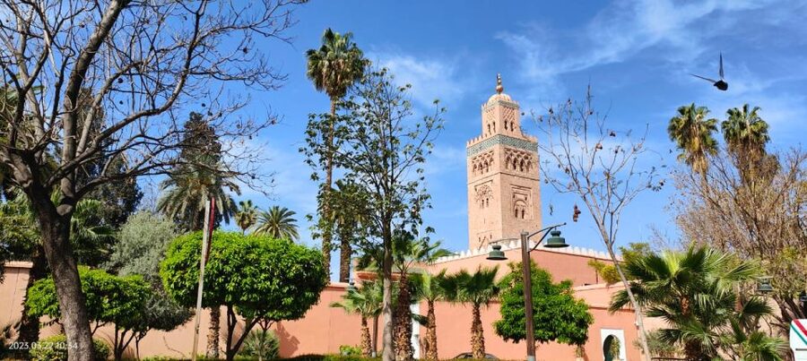 Marrakech 3-Hour Walking Tour - What this three-hour Marrakech tour is really trying to do