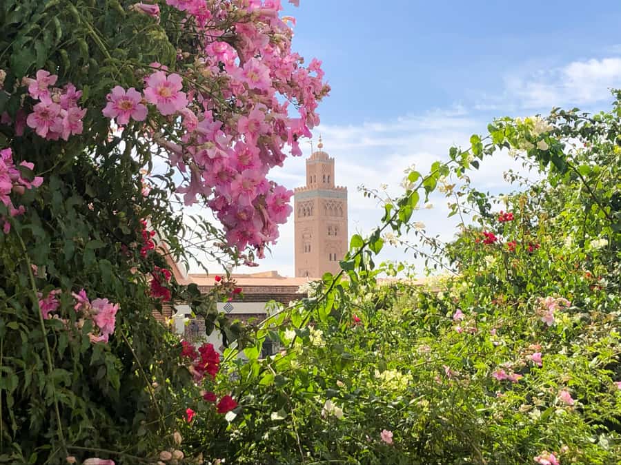 Marrakech: Customized Guided Walking Tour - Tea, rooftops, and quieter neighborhoods