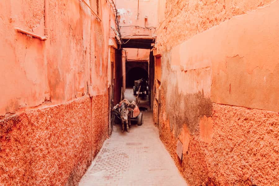 Marrakech: Customized Guided Walking Tour - What the $64 price is really buying