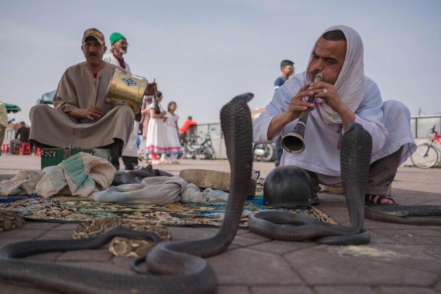 Marrakech: Customized Guided Walking Tour - Choosing three hours or six hours