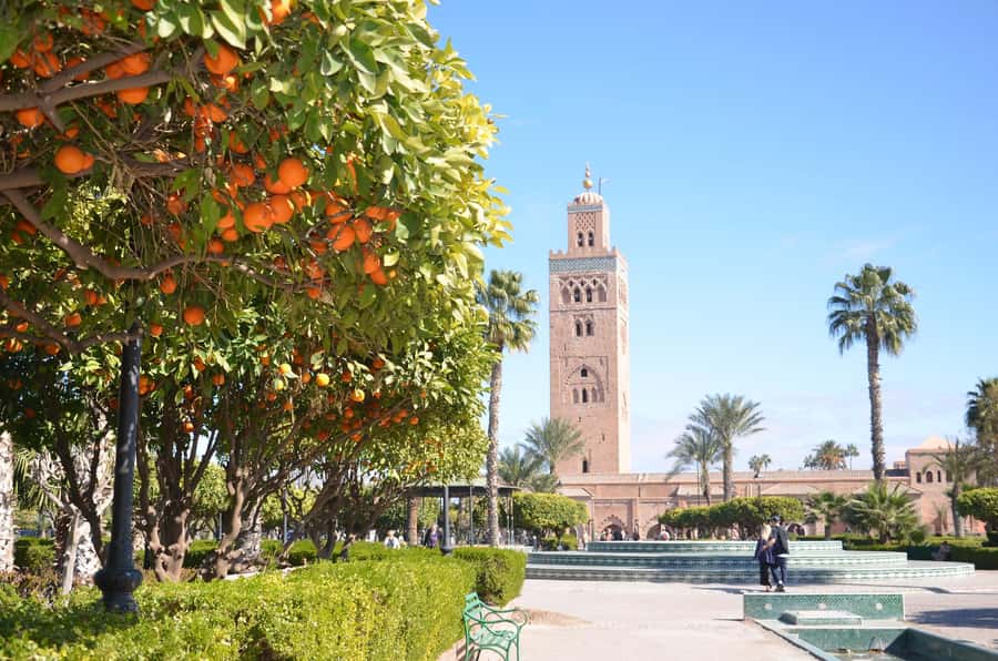 Marrakech: Monuments, Souks and Medina Guided Walking Tour - Souk Semmarine, leather, and the working Medina