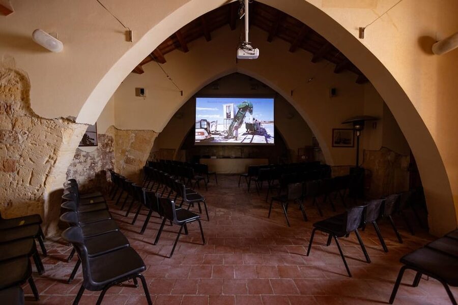 Marsala: Guided Salt Pans Walk Tour with Windmill Visit - Walking the salt pools and reading their colors