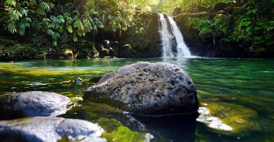 Maui: Guided Rainforest and Waterfall Walk & Swim - Reaching the waterfall and natural pool