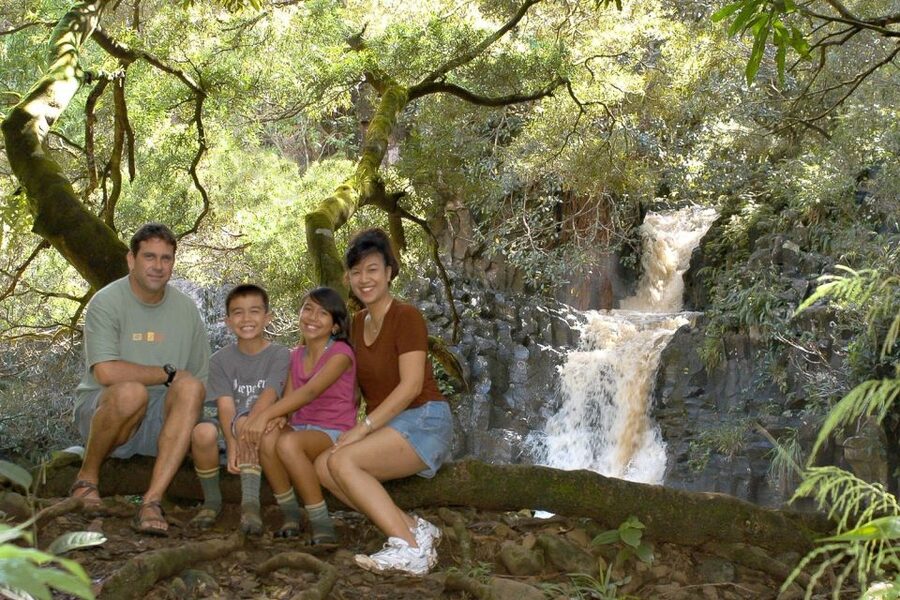 Maui: Guided Rainforest and Waterfall Walk & Swim - The optional 10-foot rock jump