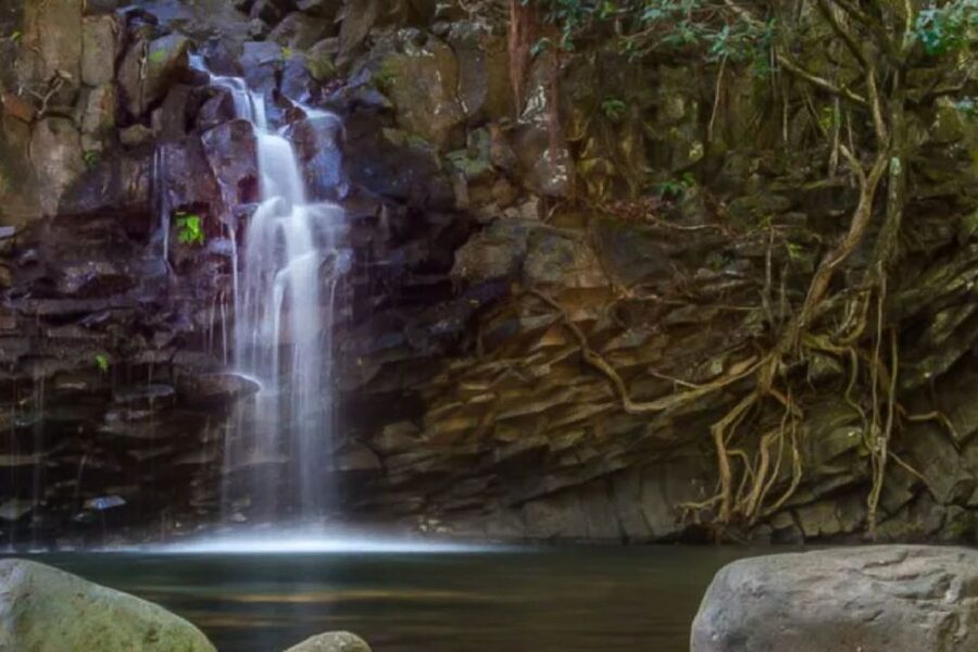 Maui: Guided Rainforest and Waterfall Walk & Swim - How much the guide changes the experience
