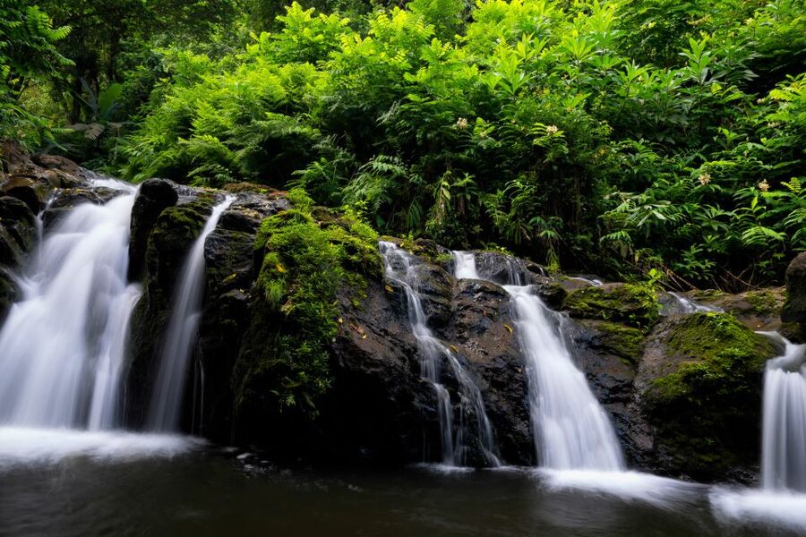 Maui: Guided Rainforest and Waterfall Walk & Swim - Is $140 per person a fair price?