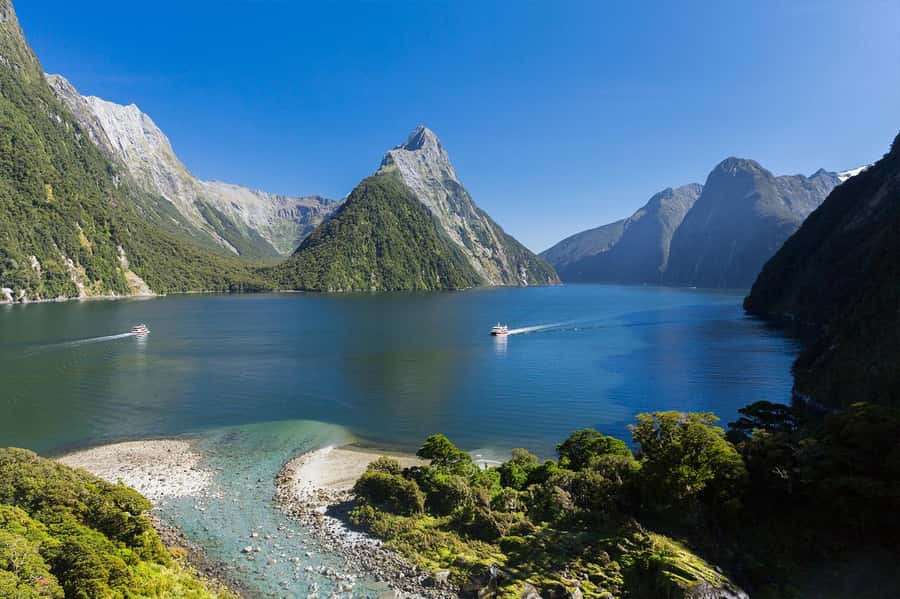 Milford Sound: Nature Cruise & Milford Track Walk - Why combining land and water works so well