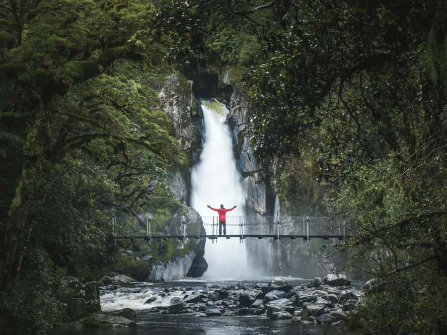 Milford Sound: Nature Cruise & Milford Track Walk - Taking the cruise through Milford Sound
