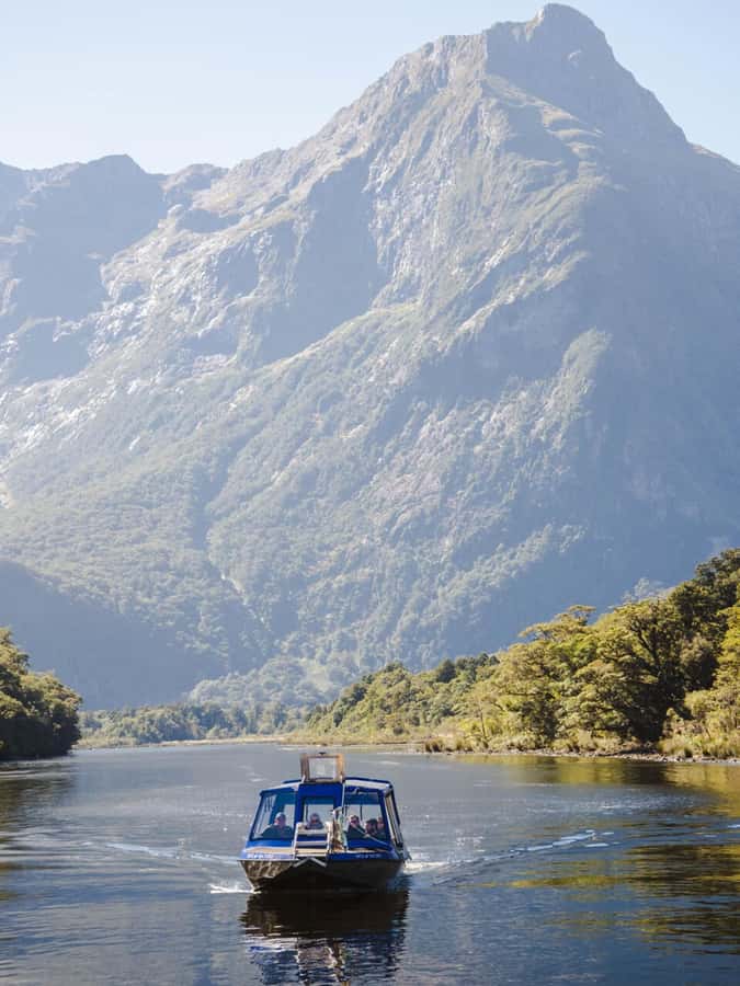 Milford Sound: Nature Cruise & Milford Track Walk - Choosing between the 9am walk and 10:30am cruise