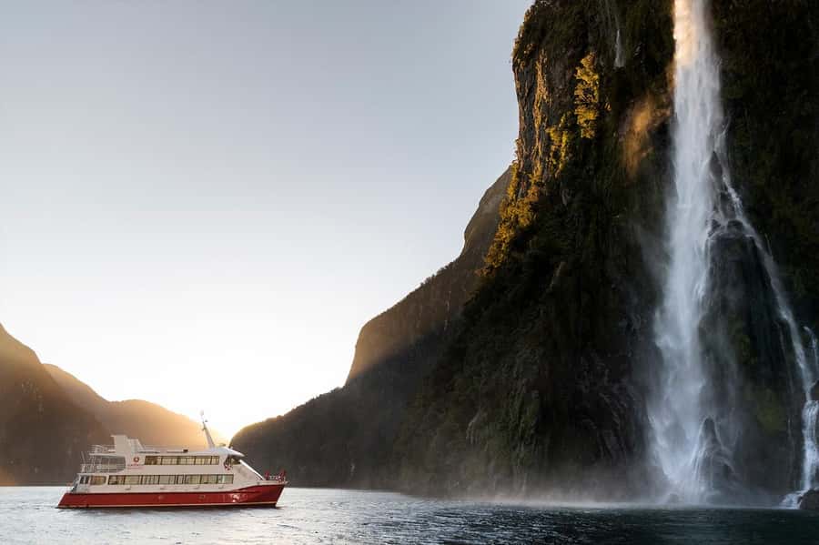 Milford Sound: Nature Cruise & Milford Track Walk - Who will get the most from this day
