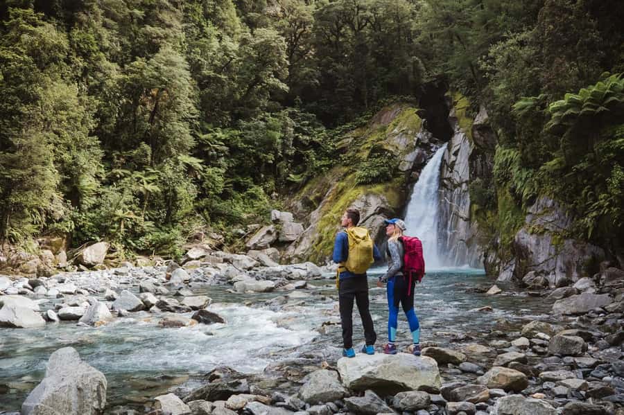 Milford Sound: Nature Cruise & Milford Track Walk - Should you book the Milford Track and cruise combination?