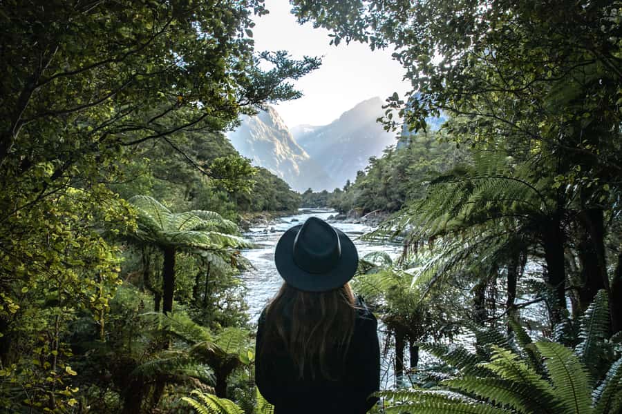 Milford Sound: Self-Guided Milford Track Day Walk - The boat ride to Sandfly Point