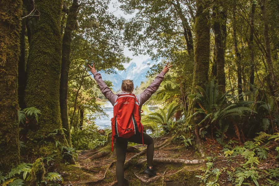 Milford Sound: Self-Guided Milford Track Day Walk - Is $44 good value?