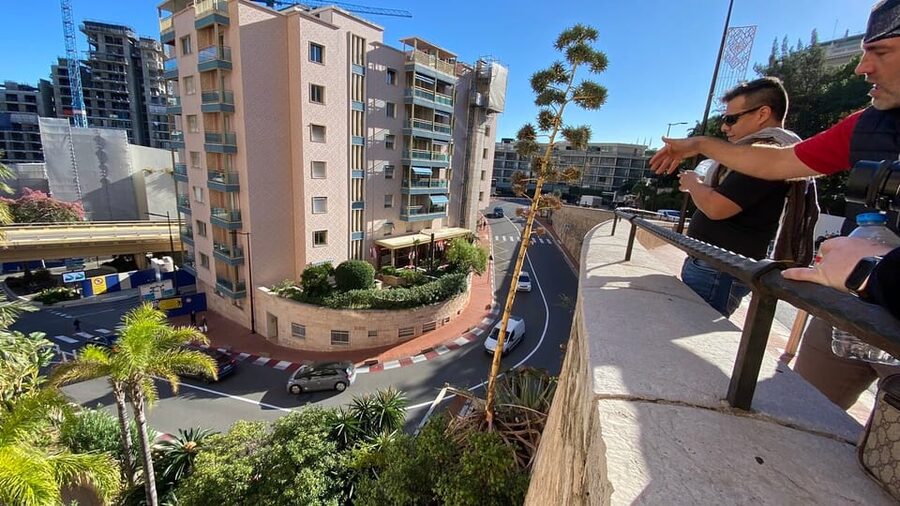 Monaco: Formula One Circuit Guided Walking Tour - Key points to know before you book