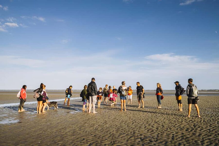 Mont-saint-Michel : Walk in the heart of the Bay - Reaching Tombelaine, the granite islet