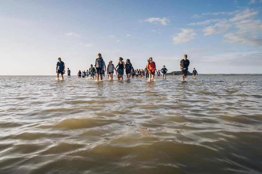 Mont-saint-Michel : Walk in the heart of the Bay - What the $29 price delivers