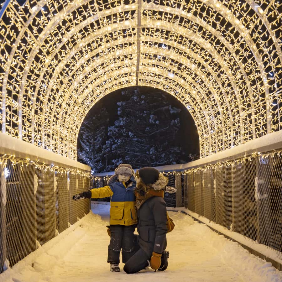 Mont-Tremblant: Treetop Observatory and Self-Guided Walk - Key points at a glance