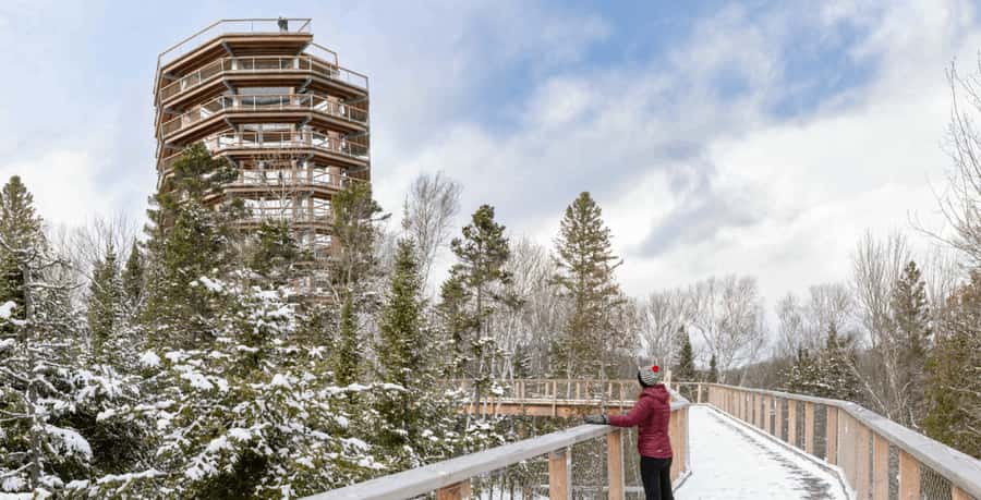 Mont-Tremblant: Treetop Observatory and Self-Guided Walk - What the two-hour route really feels like