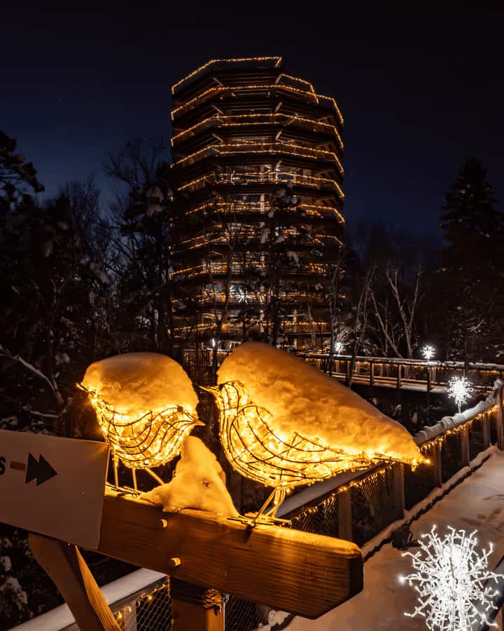 Mont-Tremblant: Treetop Observatory and Self-Guided Walk - Views, nature, and the limits of a self-guided visit
