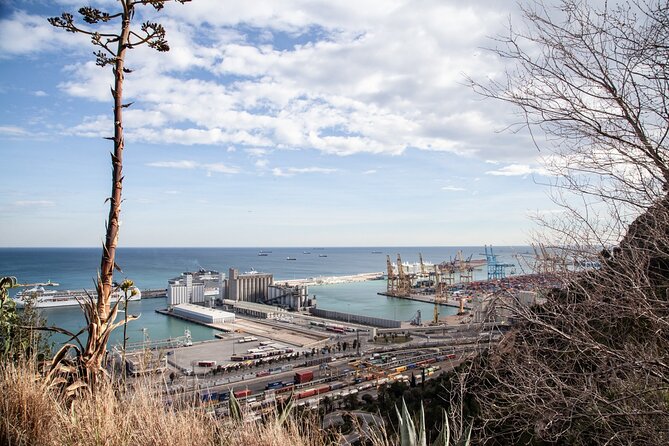 Montjuïc Walking Tour With Optional Flamenco Show - Why Montjuïc deserves half a day