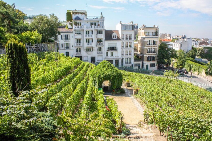 Montmartre & Sacré Coeur: 2.5-Hour Walking Tour - Walking in Van Gogh’s and Picasso’s Footsteps