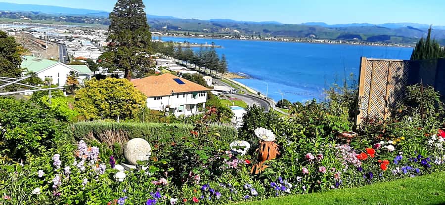 Napier: Art-Deco + Te Mata Peak+ Garden Walk + Wine Tasting - Te Mata Peak delivers the grandest panorama