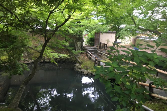 Nara Half Day Trip Walking Tour (Private Option Available) - Nara Park and the polite, pushy deer