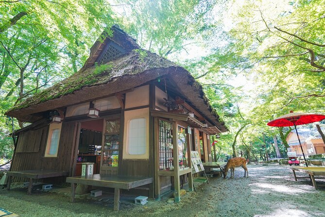 Nara Half Day Trip Walking Tour (Private Option Available) - What the guides add to the day