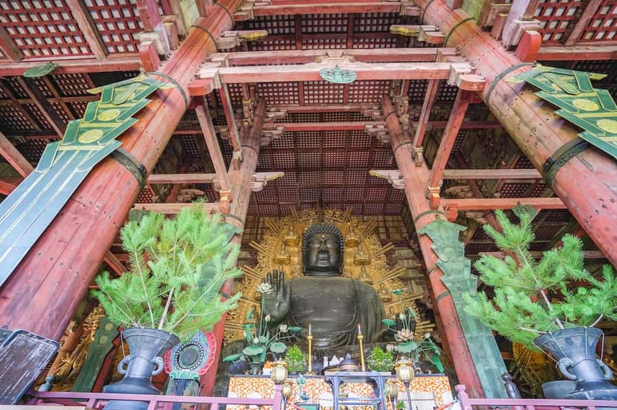 Nara: Half-Day UNESCO Heritage & Local Culture Walking Tour - The Nara experience in six useful points
