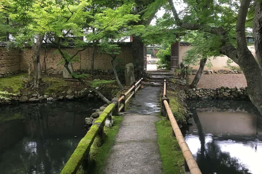 Nara: Half-Day UNESCO Heritage & Local Culture Walking Tour - How much walking should you expect?