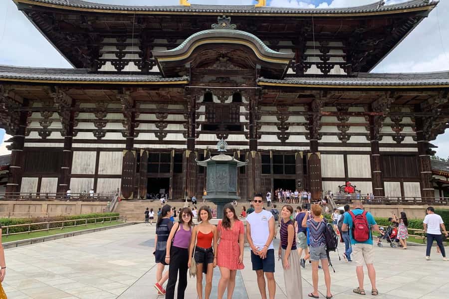 Nara: Half-Day UNESCO Heritage & Local Culture Walking Tour - Shimononegi-michi and Naramachi’s old houses