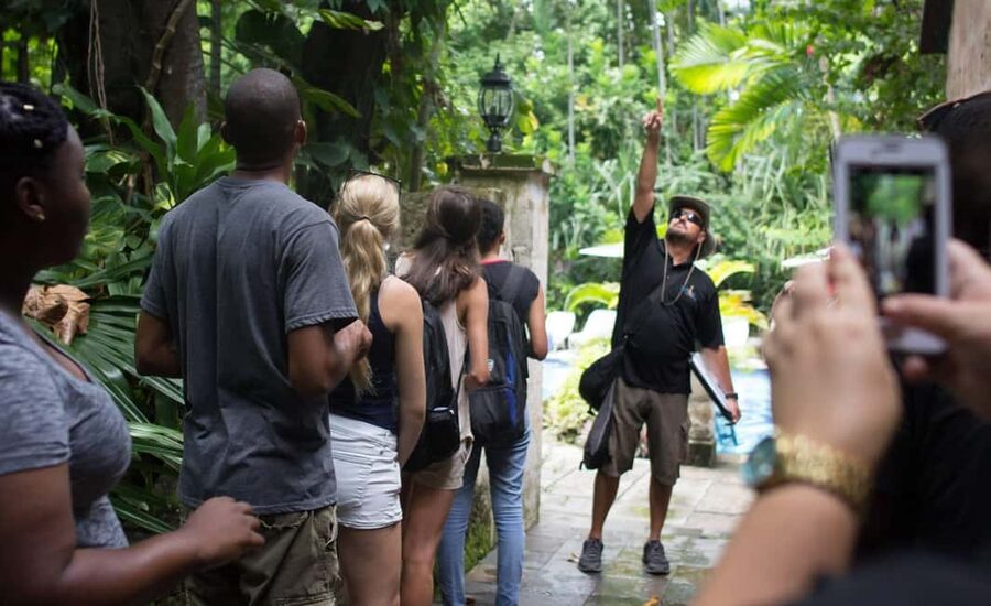 Nassau: Bites and Sites Food and Cultural Walking Tour - Why this Nassau food walk is worth your morning