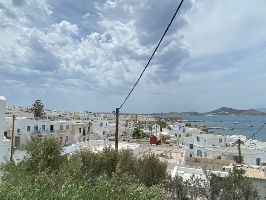 Naxos: Food Walking Tour & Cooking Class with Meal & Drinks - Shopping for ingredients like a Naxian cook