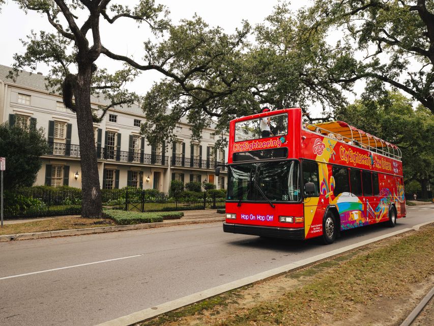 New Orleans: 2 or 3 Day Hop-On Hop-Off Bus with Walking Tour - Tremé, Basin Street, and Canal Street