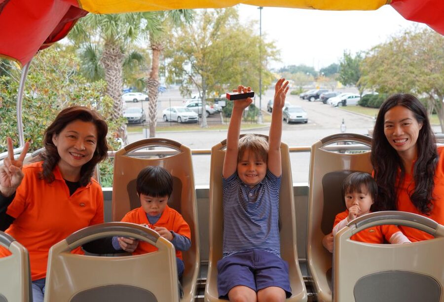 New Orleans: 2 or 3 Day Hop-On Hop-Off Bus with Walking Tour - The Garden District and St. Charles Avenue