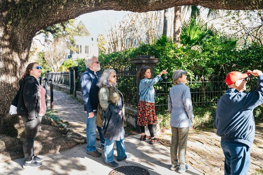 New Orleans: Garden District Guided Walking Tour - Who should book this Garden District walk