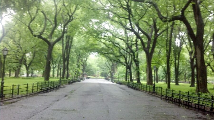 New York City: Central Park Walking Tour - A Guide Who Knows the Park from the Inside
