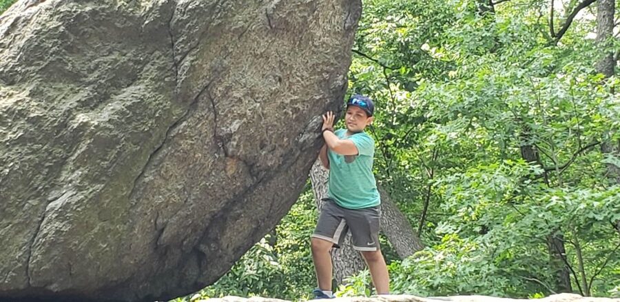 New York City: Central Park Walking Tour - Walking Pace, Weather, and Physical Demands