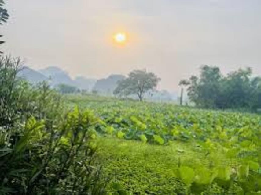 Ninh Binh Sunset Tour And Visit Hoa Lu Walking Town At Night - What the $20 price really covers