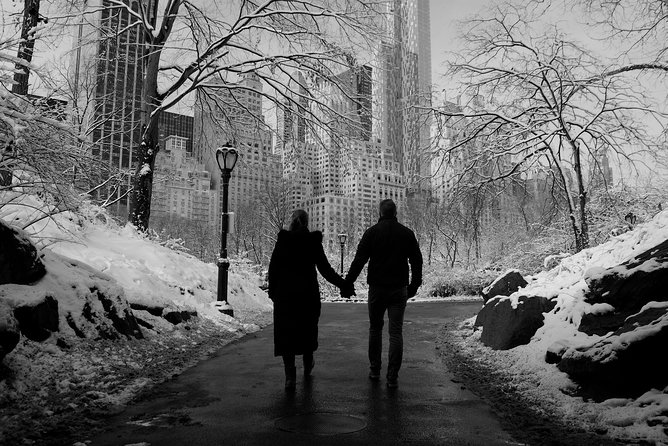 NYC Professional Photoshoot and Walking Tour with Private Guide - The Brooklyn Bridge finale
