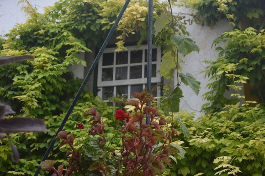 Óbidos: Medieval Tales & Secrets Spots Guided Walking Tour - What $41 Buys You