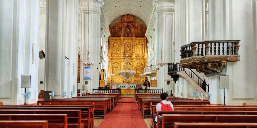 Old Goa: Walking Tour of Heritage Churches - Basilica of Bom Jesus and St. Francis Xavier