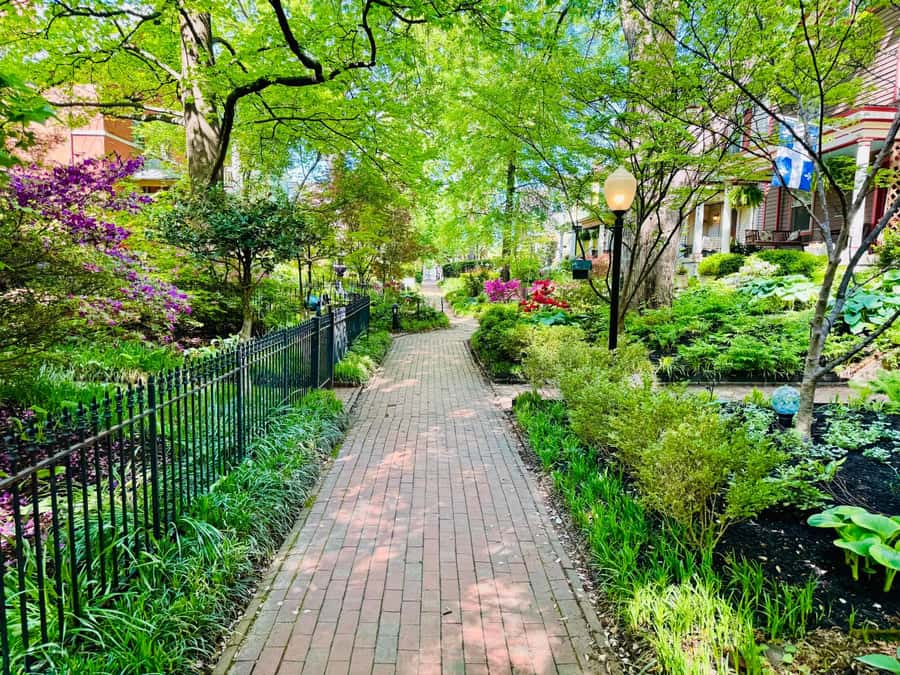 Old Louisville: History and Architecture Walking Tour - Why Old Louisville is worth your morning