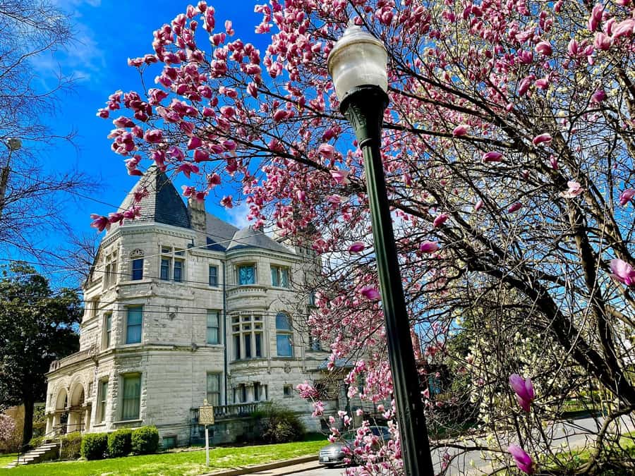 Old Louisville: History and Architecture Walking Tour - Mansions, cottages, and six architectural styles