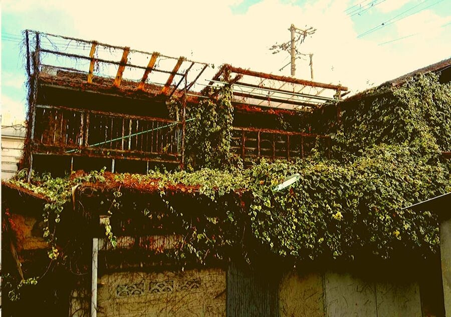 Osaka: Deep Backstreets Walking Tour with Dinner Option - Key points to know before booking