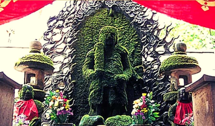 Osaka: Hotspots & Hidden Gems Walking Tour Private or Group - Key points at a glance