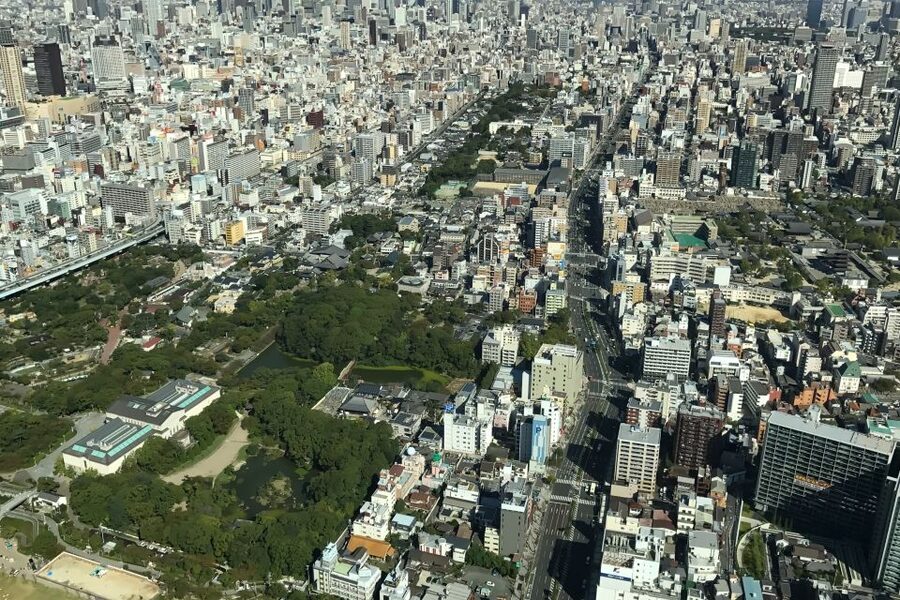 Osaka: Main Sights and Hidden Spots Guided Walking Tour - Kuromon Ichiba and Doguyasuji: food culture without a food tour