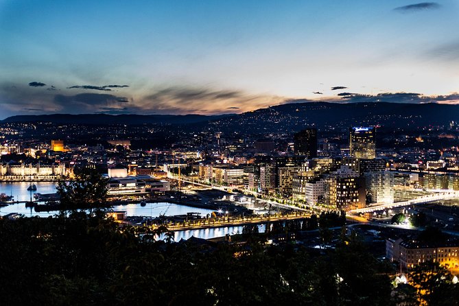 Oslo: Private Walking Tour with a Local - Key points to know before booking