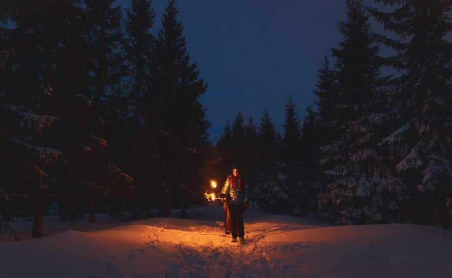 Oslo: Snowy Forest Torchlight Walk with Campfire - The View at 500 Meters Above the Fjord